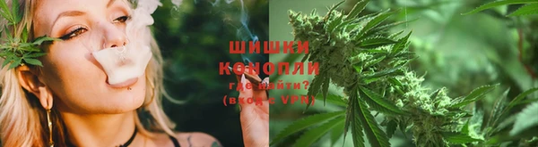 ПСИЛОЦИБИНОВЫЕ ГРИБЫ Абаза