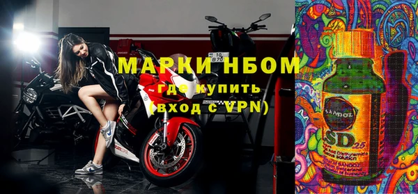 ПСИЛОЦИБИНОВЫЕ ГРИБЫ Абаза