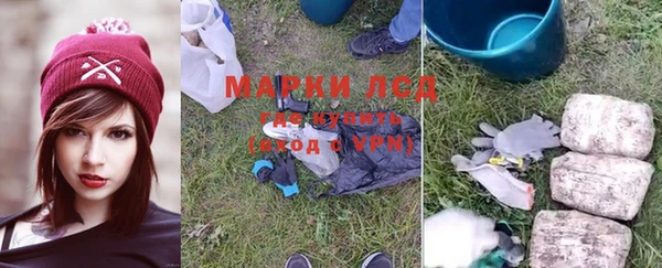 ПСИЛОЦИБИНОВЫЕ ГРИБЫ Абаза