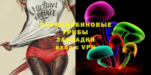 ПСИЛОЦИБИНОВЫЕ ГРИБЫ Абаза