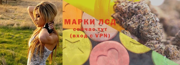 ПСИЛОЦИБИНОВЫЕ ГРИБЫ Абаза